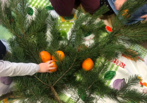 Dzieci badają jak by to było gdyby na choince rosły pomarańcze
