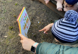 Dzieci porównują obrazki w książce ze znalezionymi roślinkami w ogrodzie