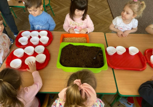 Dzieci siedzą przy stoliku i szykują się do sadzenia owsa
