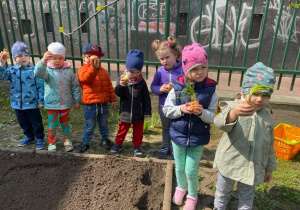 Dzieci prezentują cebule, które zaraz będą sadzić w ziemi