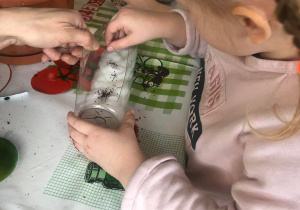 Dziewczynka sadzi nasionka w pojemniku zrobionym z butelki po napoju