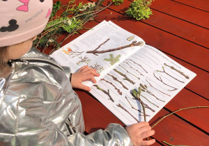 Dziewczynka porównuje gałązki drzew w atlasie