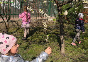 Dzieci oglądają kwitnące drzewa w sadzie