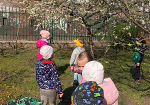 Dzieci oglądają kwitnące drzewa w sadzie