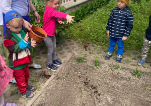 Dzieci sypią na swoją grządkę ziemię dla lepszego wzrostu roślin