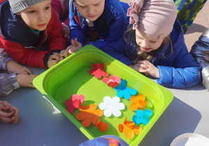 Dzieci obserwowały jak rozwijają się papierowe kwiaty na wodzie