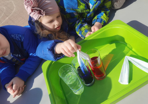 Dzieci sprawdzały jak wędruje woda z jednej do drugiej szklanki i jak mieszają się kolory