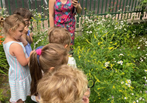 Dzieci obserwują kwiatową łąką